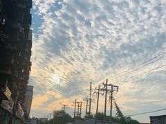 -何庄子阿米玛玛农产品批发市场