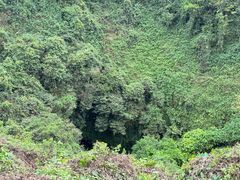 -海口火山口国家地质公园