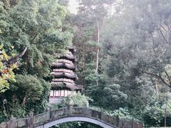 -深圳国际园林花卉博览园