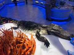 -澜悦港海鲜体验主题餐厅