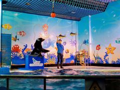 -太平洋海底世界