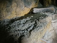 -嘉荫恐龙国家地质公园