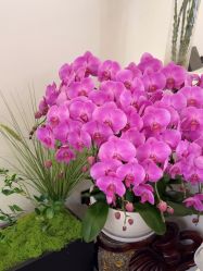 -海涛医疗美容·面部抗衰·注射美鼻