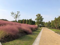 -同里国家湿地公园