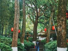 -杭州黄龙洞