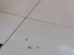 -苓记南京鸭血粉丝.皮肚面(县东巷店)