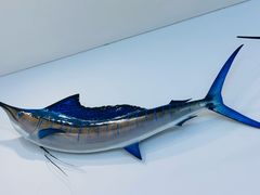 -深海中餐厅(国家海洋博物馆店)