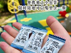-山西体育中心红灯笼体育场