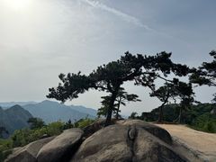 -沂蒙山旅游区云蒙景区(蒙山国家森林公园)