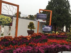 -清明上河园-迎宾门售票处