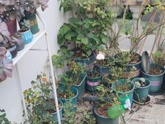 -俘淼外墙防水渗漏维修 深圳