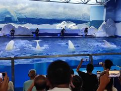 -秦皇岛乐岛海洋王国