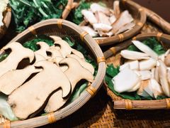 -滇野云南野生菌餐厅(陕西南路店)