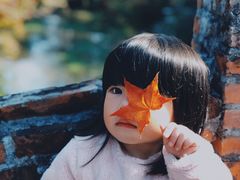 -田野绿世界