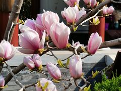 -李叔同故居纪念馆