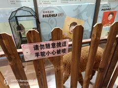 -大连凯丹广场