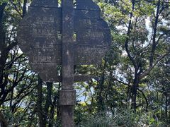 -梧桐山风景名胜区