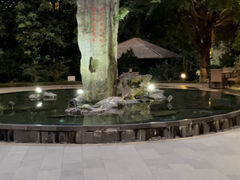 -英德宝晶宫天鹅湖茶语温泉