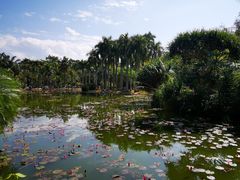 -中国科学院西双版纳热带植物园