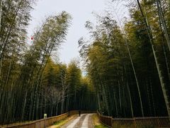 -黄公望隐居地