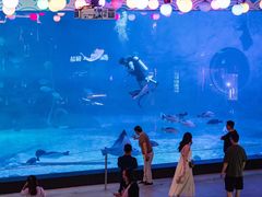 -烟台海昌鲸鲨海洋公园