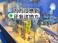 -广东中医药博物馆