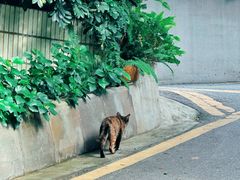 -广州市白云山风景名胜区
