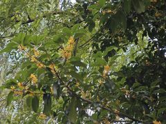 -浙江万里学院(钱湖校区)