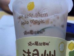 -猫的魔法密林(衣裳街店)