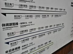 -野象谷景区