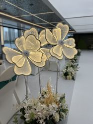 -Doris一站式游轮婚礼船东直营店(外滩店)