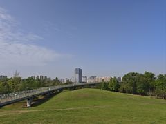 -白鹭湾湿地公园