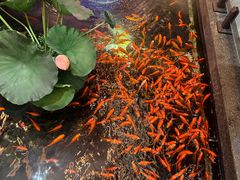 -东海怡品海鲜豆捞(星街坊店)