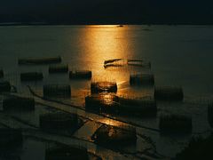 -大京沙滩