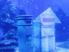 -海合安武汉极地海洋公园