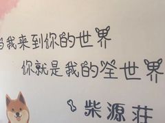 -柴源莊·柴小宠柴犬咖啡