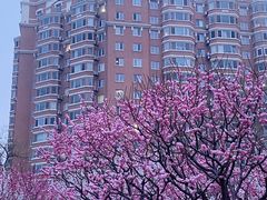 -北京明城墙遗址公园