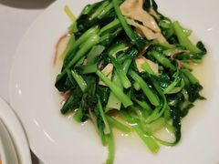 -新吉士·上海菜(浦东LCM置汇旭辉店)