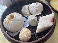 -富春茶社(国庆路店)