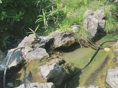 -耕渔小院·湖南鱼鲜(望城店)