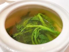 松茸西洋菜汤-苏浙总会(国金中心店)