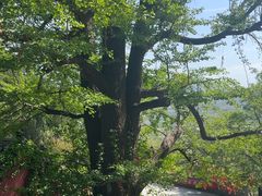 -牛郎织女景区
