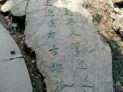 -香雪海