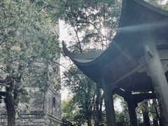 -江心屿景区
