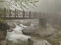 -青峰峡国家森林公园