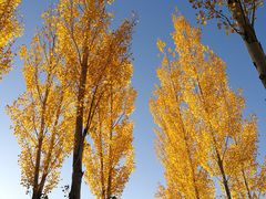 -亿利库布其七星湖沙漠生态旅游区