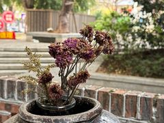 -樹下遇见树·咖啡