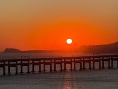 -星海湾跨海大桥