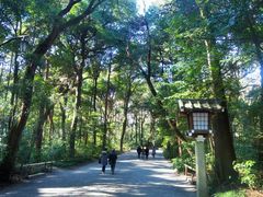 -三鹰之森吉卜力美术馆