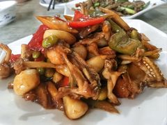 -品雅轩农家乐